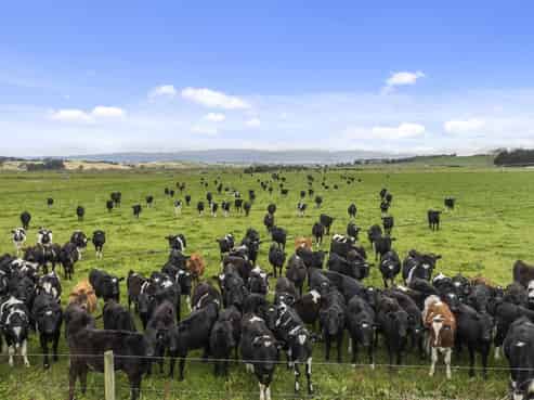 108 Allangrange Road, Greenfield