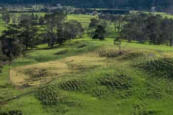 Lot 20 40 Morgan Rise Hellyer Heights, Kaukapakapa