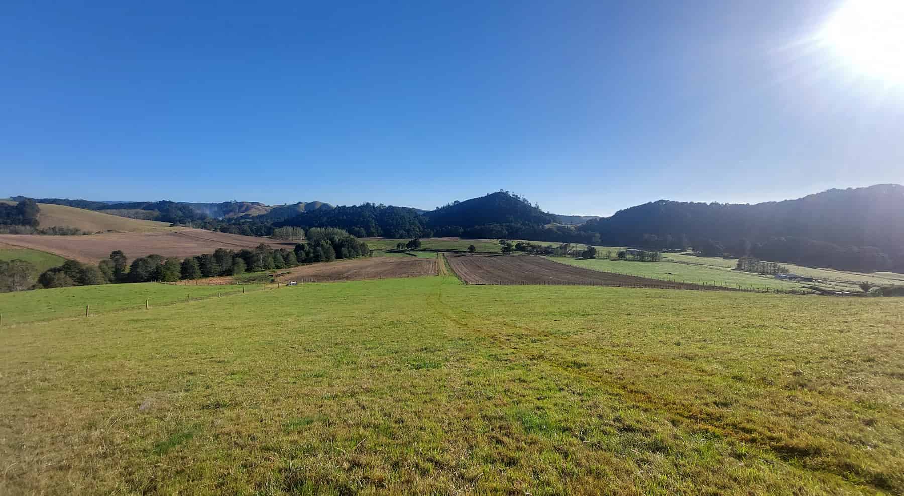 Lowe Road, Hikurangi, Whangarei For Sale realestate.co.nz