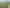 106 Barbados Way, One Tree Point