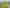 106 Barbados Way, One Tree Point