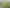106 Barbados Way, One Tree Point