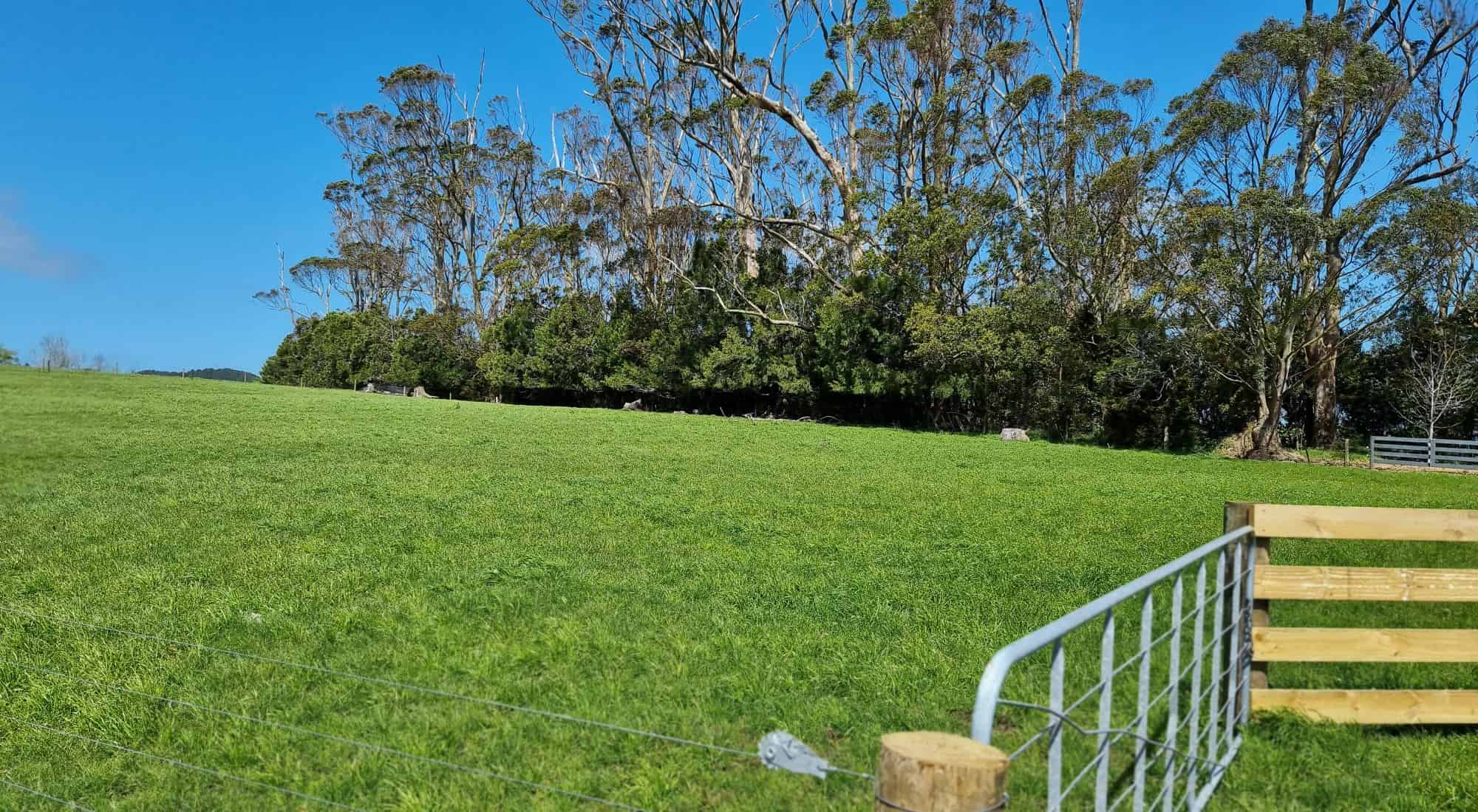 Lot 13 Millbrook Road, Waipu, Whangarei For Sale realestate.co.nz