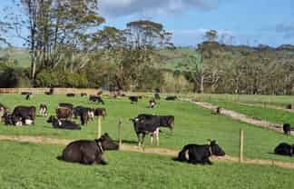 Lot 1-3 Millbrook Road, Waipu