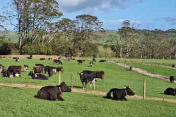 Lot 1-3 Millbrook Road, Waipu