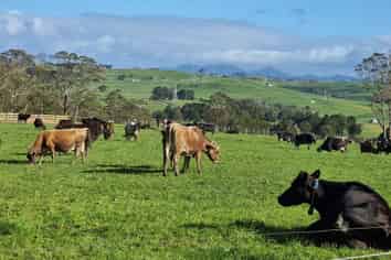 Lot 1-3 Millbrook Road, Waipu