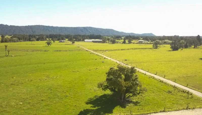 102 Whale Road , Whataroa