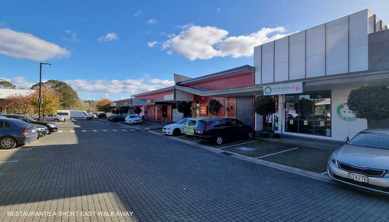 60 Don Mckinnon Drive, Albany