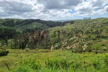 Lot 8/670 Bickerstaffe Road, Maungaturoto