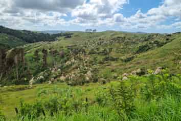 Lot 8/670 Bickerstaffe Road, Maungaturoto