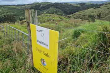 Lot 8/670 Bickerstaffe Road, Maungaturoto