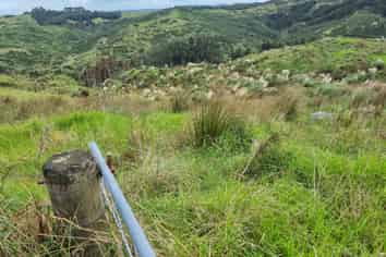 Lot 8/670 Bickerstaffe Road, Maungaturoto