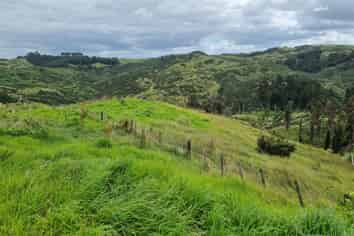 Lot 8/670 Bickerstaffe Road, Maungaturoto