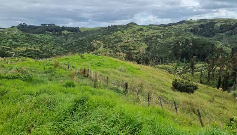 Lot 8/670 Bickerstaffe Road, Maungaturoto