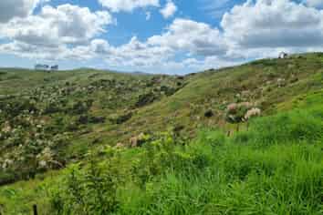 Lot 8/670 Bickerstaffe Road, Maungaturoto