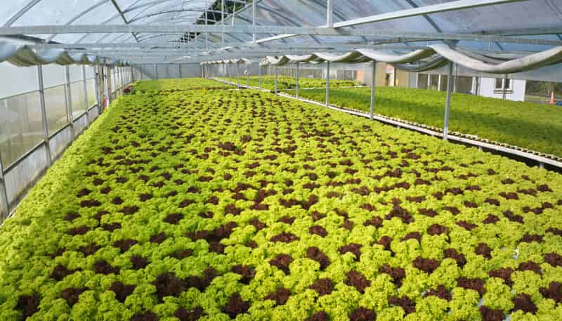 980 State Highway 6, Rapahoe