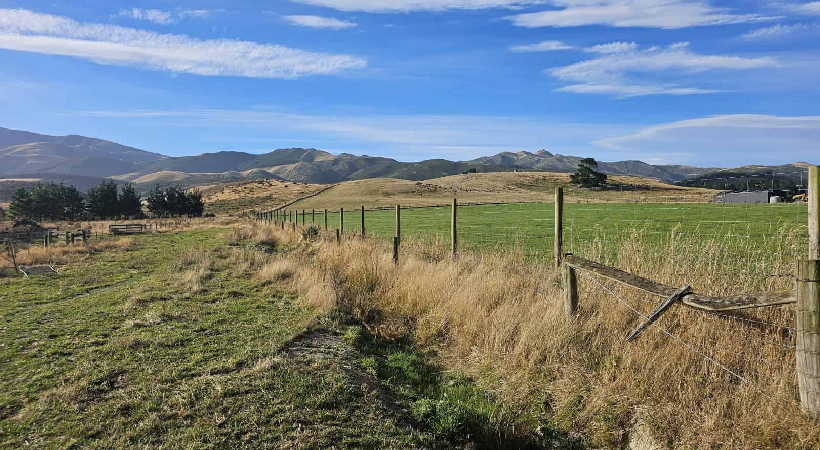 440 Bush Road, Oxford, Waimakariri For Sale realestate.co.nz
