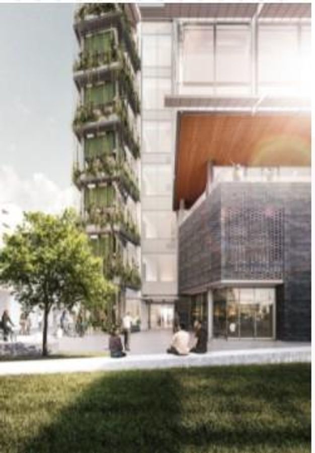 Wynyard Quarter Office: Innovation Precinct Gem - Ansicht 4