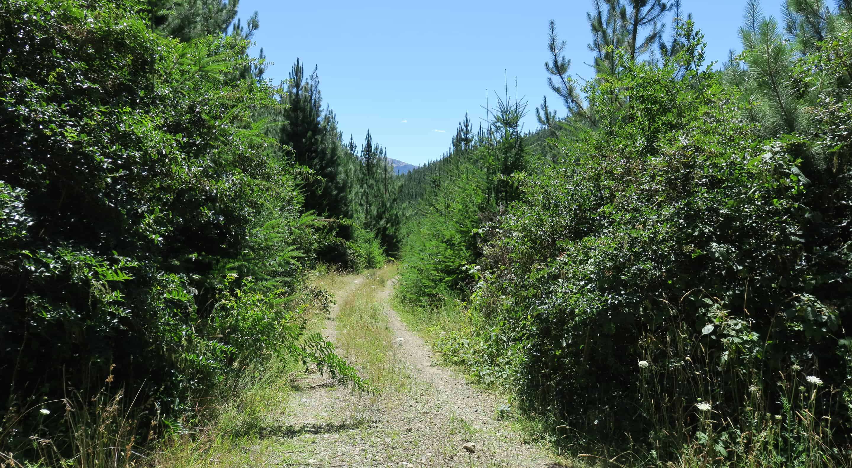 6555 State Highway 63, Wairau Valley, Marlborough For Sale realestate.co.nz