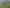 207 Brook Road, Awhitu