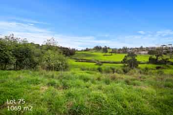 38 Mahi Road, Helensville