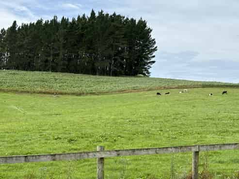 383 Peaks Road, Five Forks and Surrounds