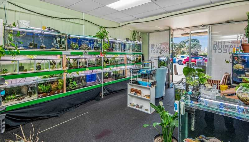 347 - 349 Lake Road, Hauraki