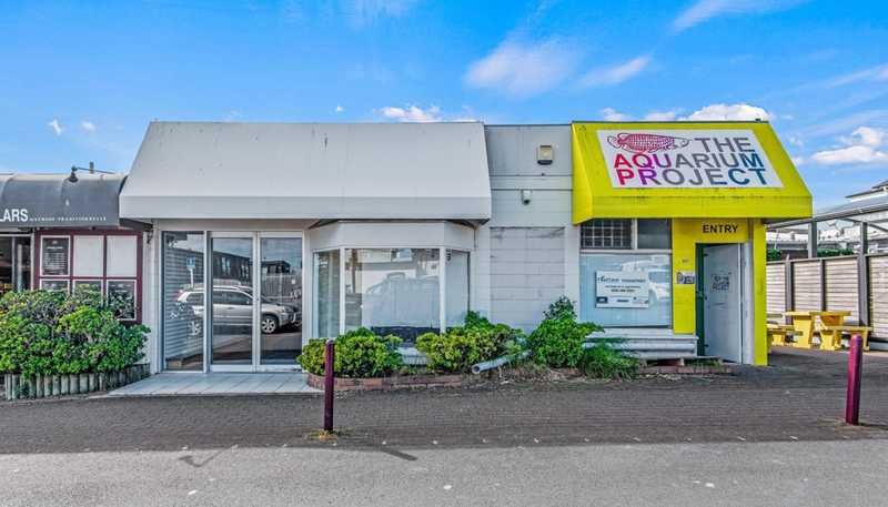 347 - 349 Lake Road, Hauraki