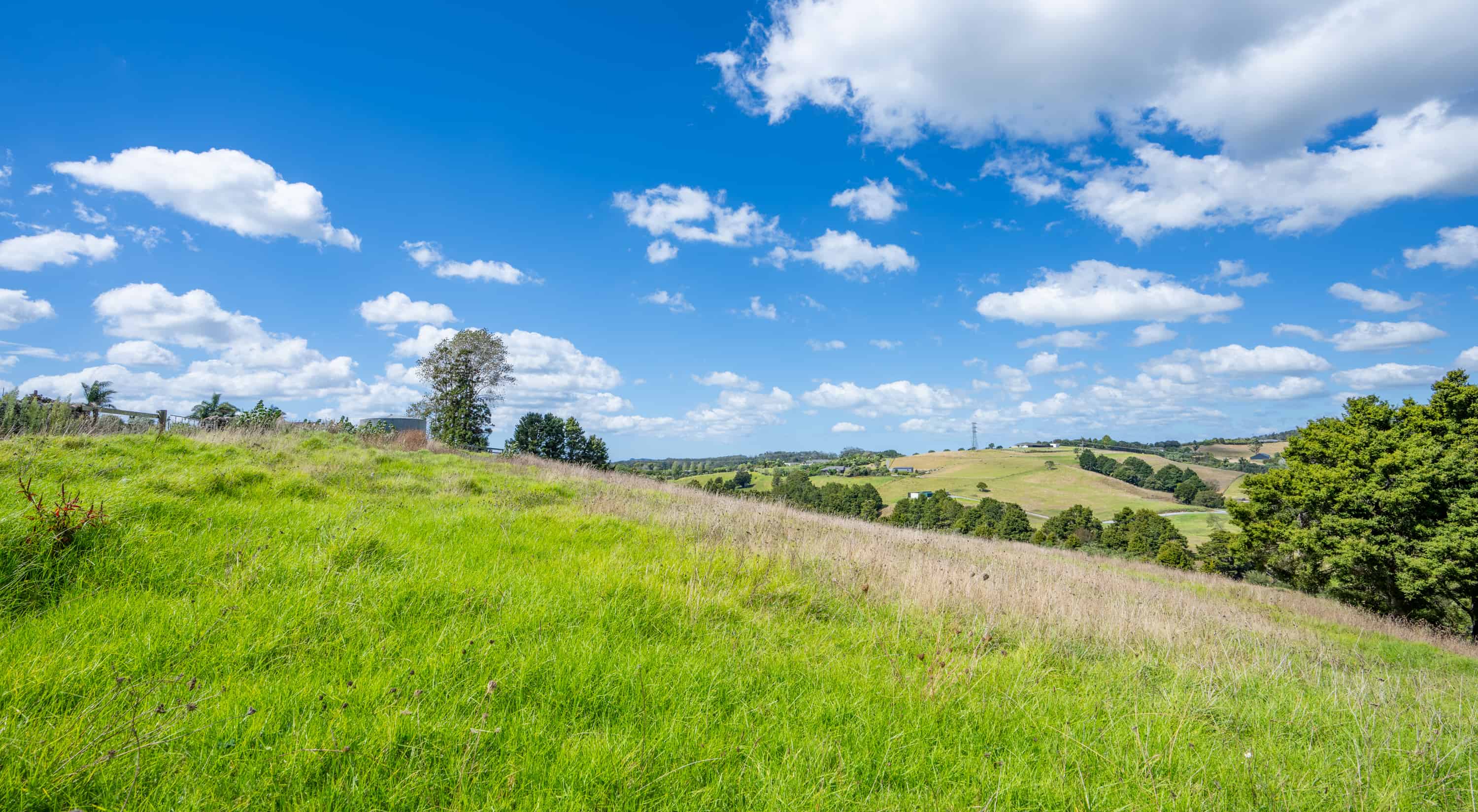 Lot 2 Sylvia Lane, Maunu, Whangarei For Sale realestate.co.nz