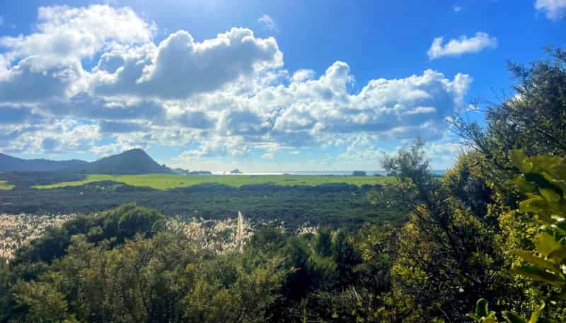 52E Kaitoke Lane, Great Barrier Island