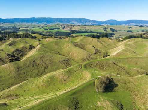 202 Bluff Road, Rangiwahia