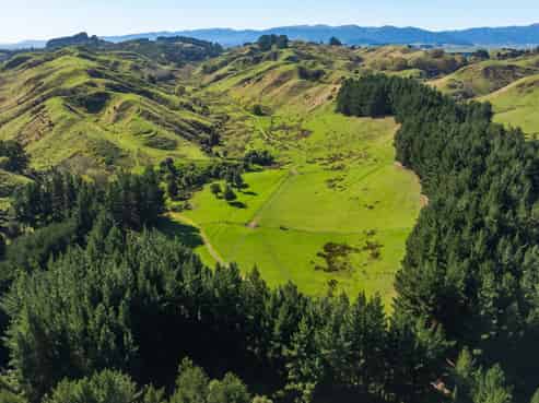 202 Bluff Road, Rangiwahia