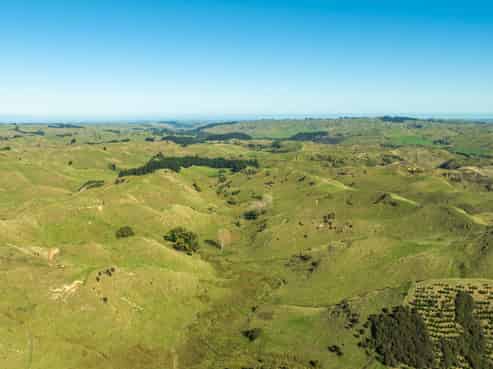 202 Bluff Road, Rangiwahia