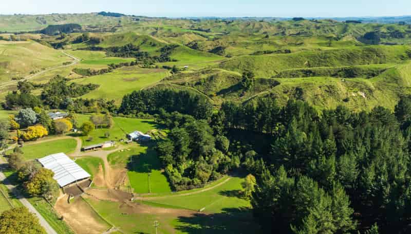 202 Bluff Road, Rangiwahia