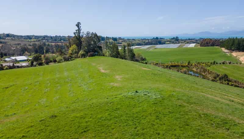 171 Dominion Road, Mahana