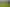 171 Dominion Road, Mahana