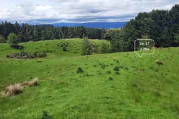 100 Ridge Road, Pohangina