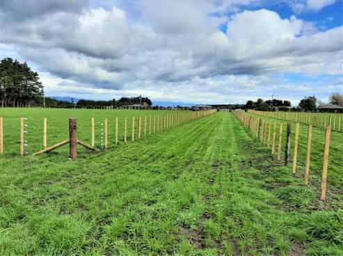 157 Motuiti Road, Foxton