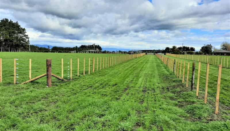 157 Motuiti Road, Foxton