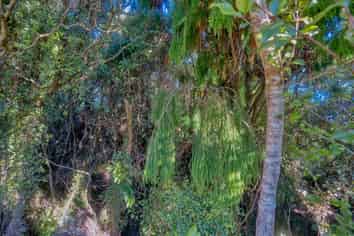 LOT 2 & 16 Brickfield Road, Hokitika