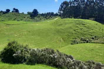 Lot 7, 560 Finnis Road, Pohangina