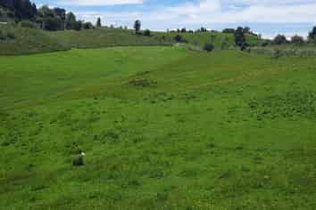 Lot 7, 560 Finnis Road, Pohangina