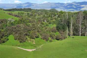 Lot 7, 560 Finnis Road, Pohangina