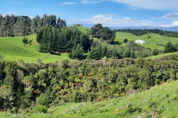 Lot 7, 560 Finnis Road, Pohangina