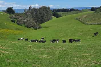 Lot 7, 560 Finnis Road, Pohangina