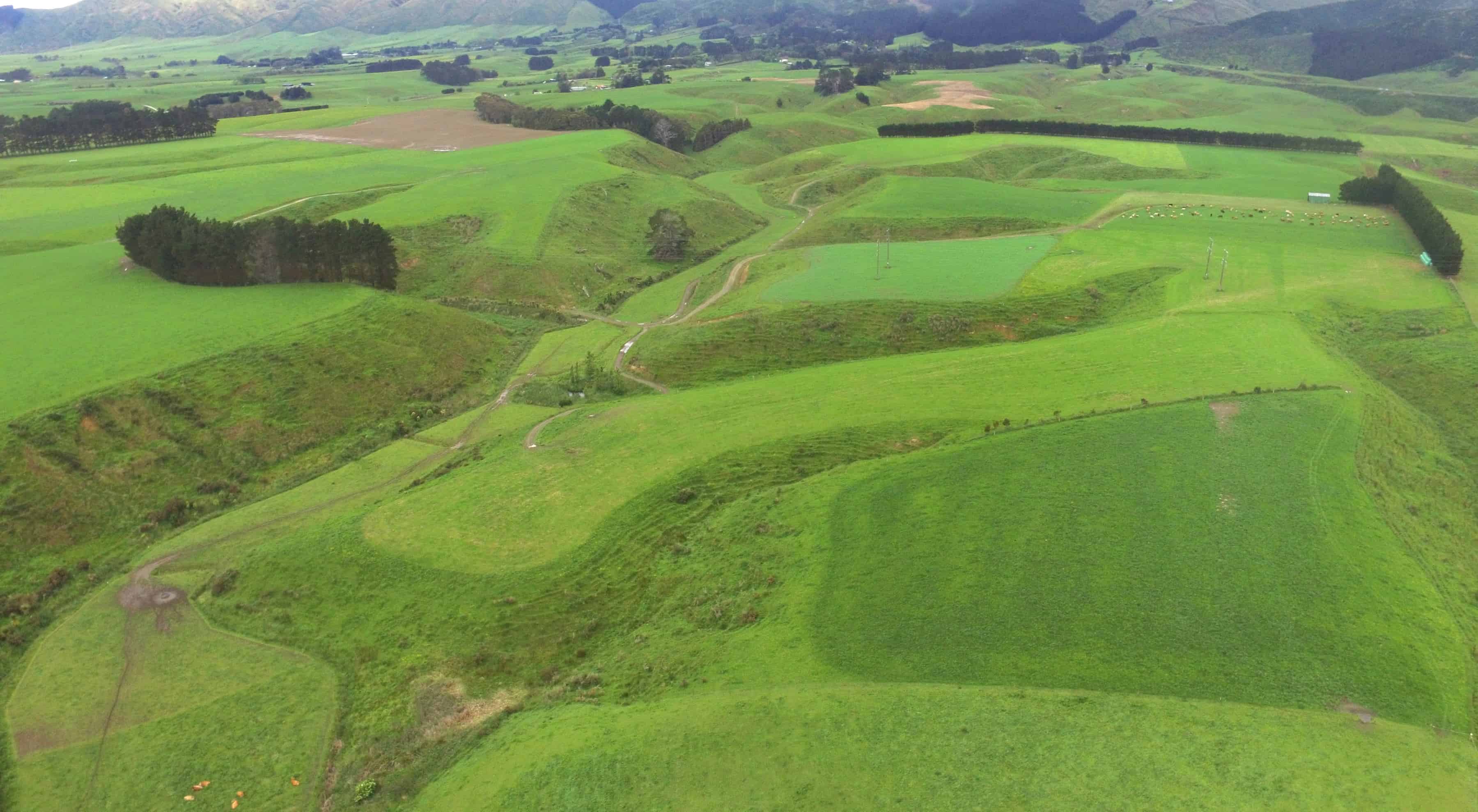 1347 Tennent Drive, Linton, Palmerston North City For Sale