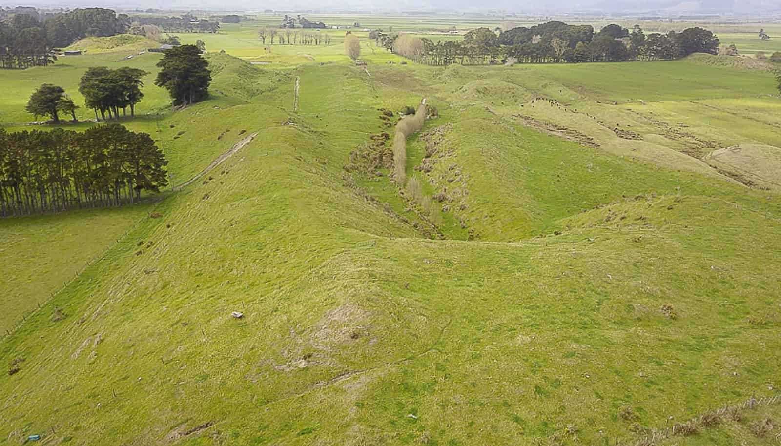 338 Foxton Shannon Road, Foxton, Horowhenua For Sale realestate.co.nz