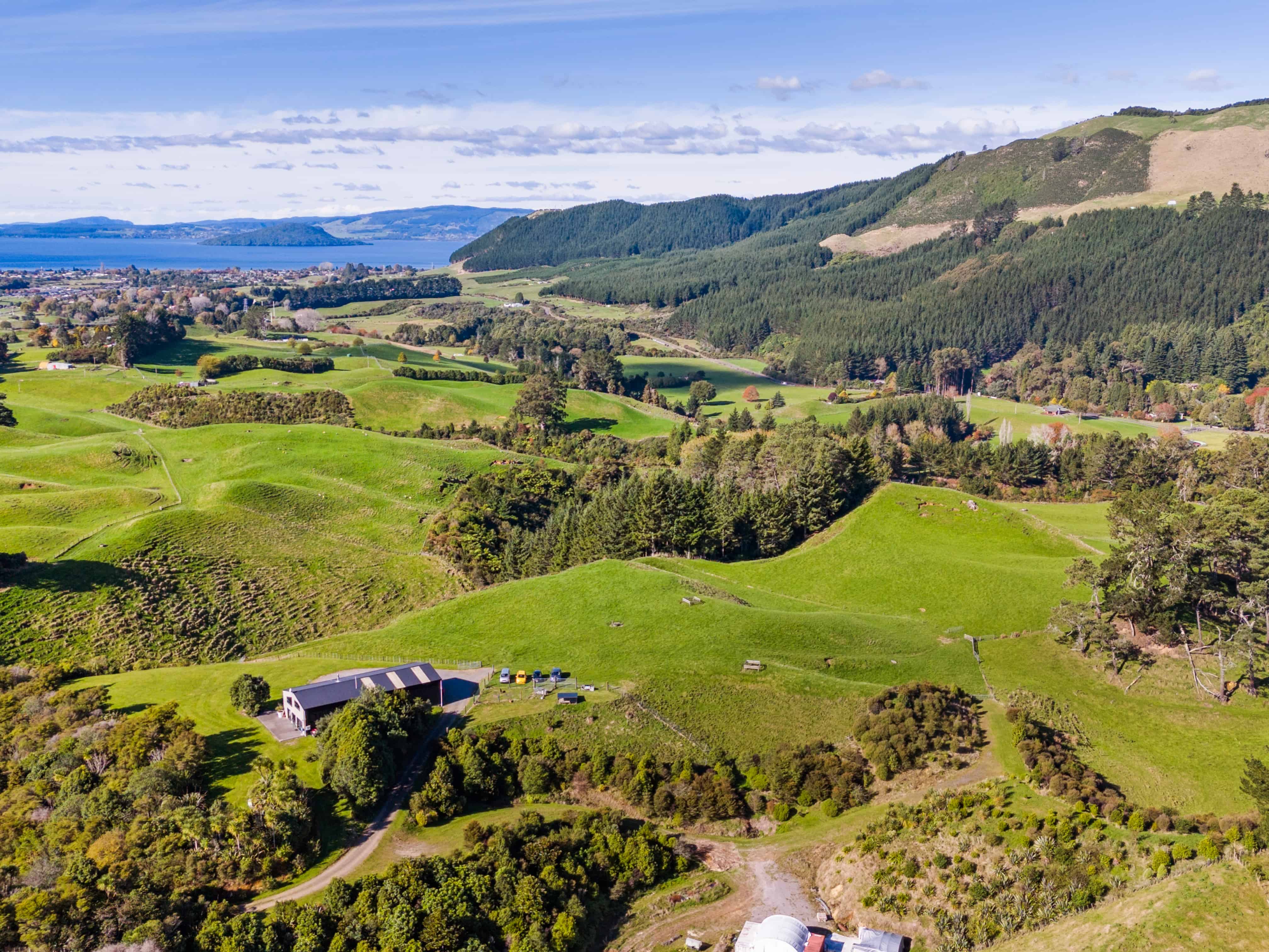 Ngongotaha Homes and Real Estate for Sale realestate.co.nz