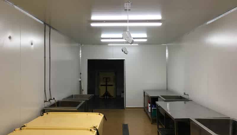51 Thorn Place, Onekawa