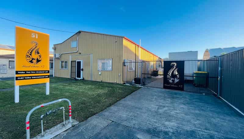 51 Thorn Place, Onekawa
